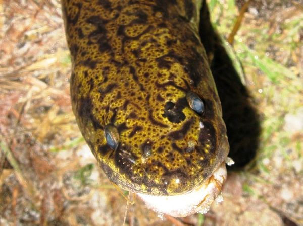 Изображение Фото: Александр Токарев.