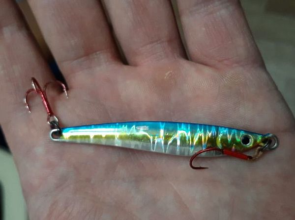 Изображение Наши пилькеры пришлись по нраву. Они бликуют перламутром, поэтому игра хорошо видна под водой. Фото: Евгений Кузнецов. 