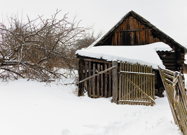 Изображение Порой заяц может зайти в брошенные поместья, залечь во дворе под сараем или баней, и выгнать его оттуда непросто. А когда случится такое, то либо заяц уже далеко, либо стрелять приходится впопыхах в десятке метров по метнувшейся серой тени, что приводит к промаху.