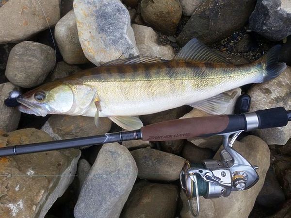 Изображение Фото: Алексей Коломиец. 