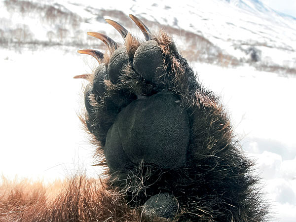 Изображение Фото Shutterstock 