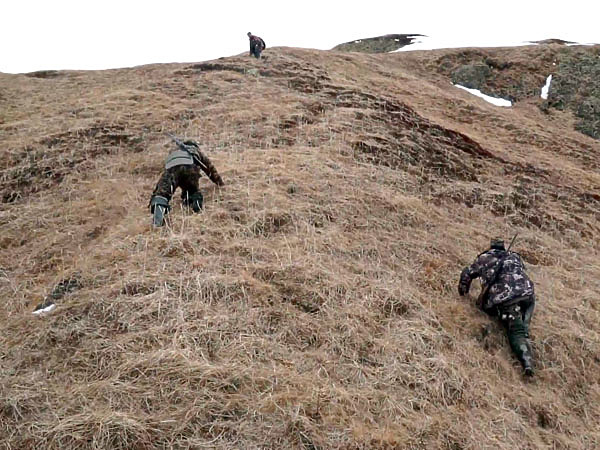 Изображение Фото автора.