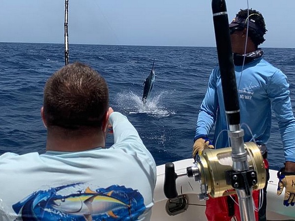 Изображение Видимо, характерный булькающий звук подсказывает хищнику, что тут кто-то уже набивает живот. Фото: Евгений Кузнецов.