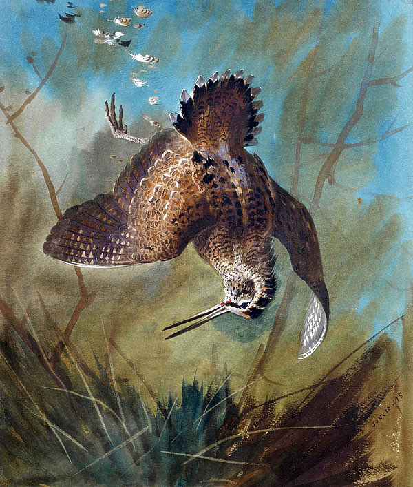 Изображение Работа Арчибальда Торнбурна