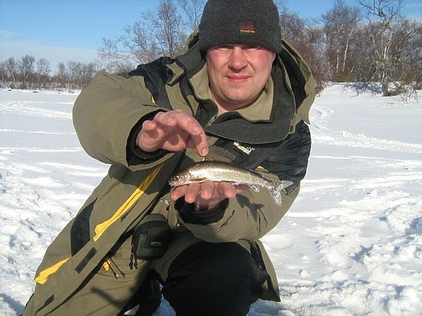 Изображение Фото: Геннадий Шеляг.