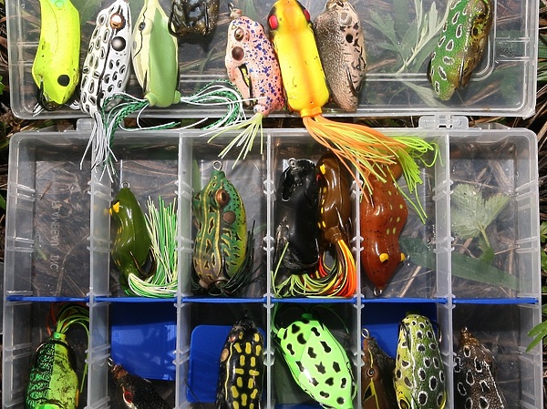 Изображение Можно с этой одной коробочкой прекрасно отловиться и получить громадное удовольствие от рыбалки. Фото: Евгений Кузнецов. 