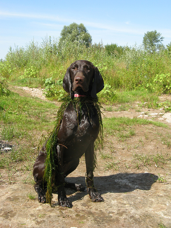 Изображение фото: Семина Михаила