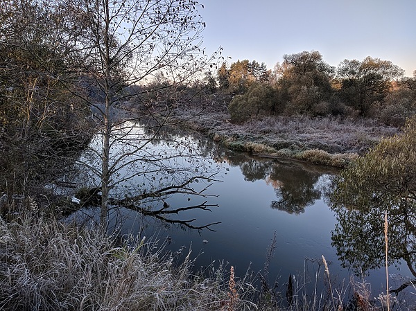 Изображение Берег в инее. Фото: Трембицкого Алексея.