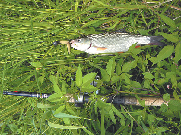 Изображение Фото: Анатолий Маилков.