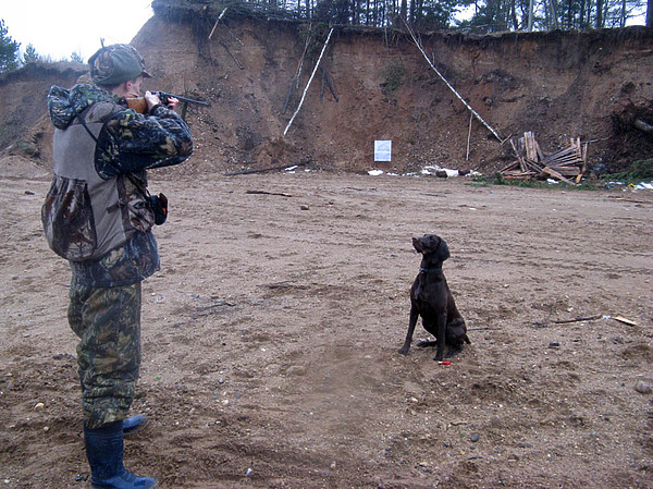 Изображение фото: Семина Михаила 