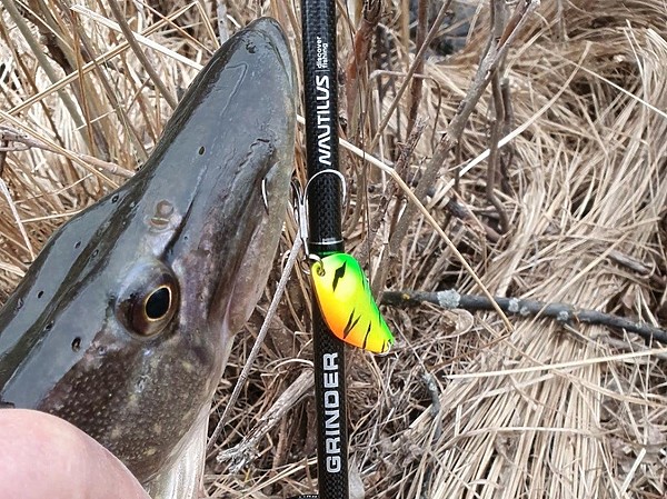 Изображение Фото: Коломийца Алексея.