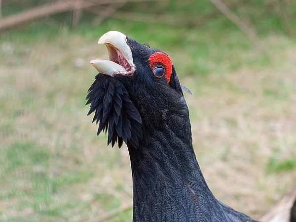 Изображение фото: Fotolia.com 