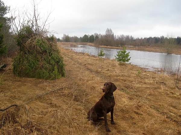 Изображение фото: Семина Михаила