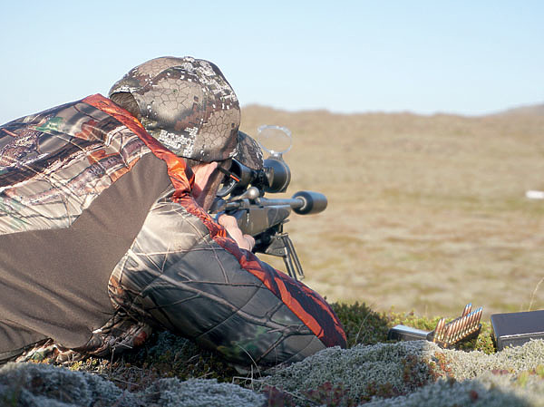 Изображение При использовании качественных компонентов можно подобрать идеальный патрон для своей винтовки.  SHUTTERSTOCK