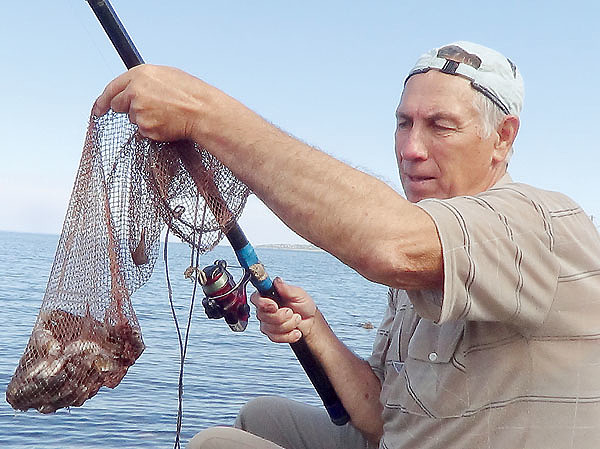 Изображение Простая поплавочная удочка способна принести весомый улов. Фото: Владимир Супруненко. 