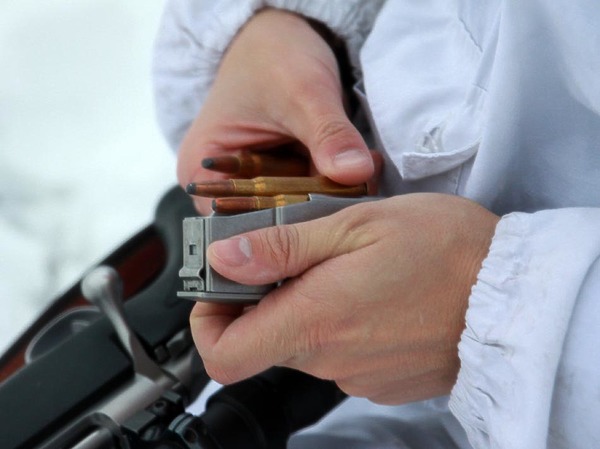 Изображение фото: Антона Журавкова 