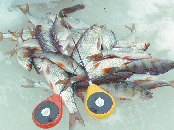 Изображение Фото: Николай Линник.