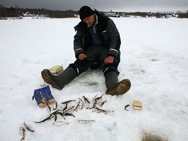 Изображение В большом водоеме рыба стоит локально. Фото: Андрей Яншевский.