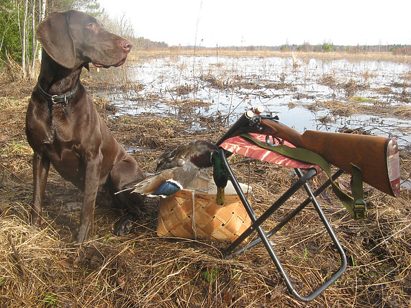 Изображение фото: Семина Михаила 