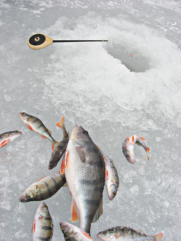 Изображение Фото: Анатолий Маилков. 