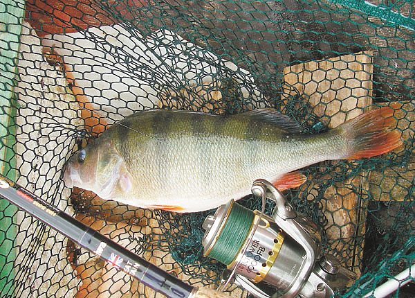 Изображение Фото: Маилкова Анатолия.