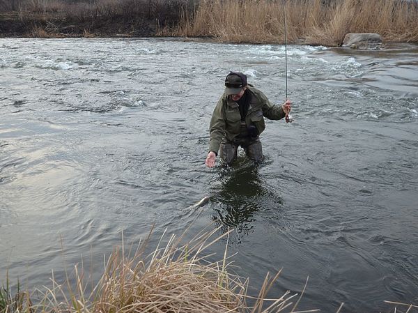 Изображение Фото: Геннадий Шеляг. 