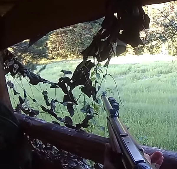 Изображение фото: Андрея Чернобая 