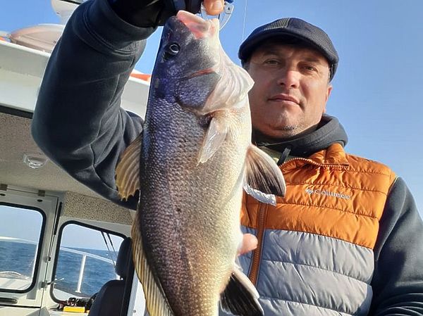 Изображение Чёрный горбыль, или тёмный горбыль, или мелакопия - желанная мечта многих спиннингистов. Фото: Евгений Кузнецов. 