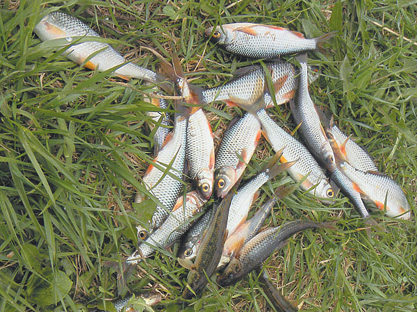 Изображение Фото: Анатолий Маилков.