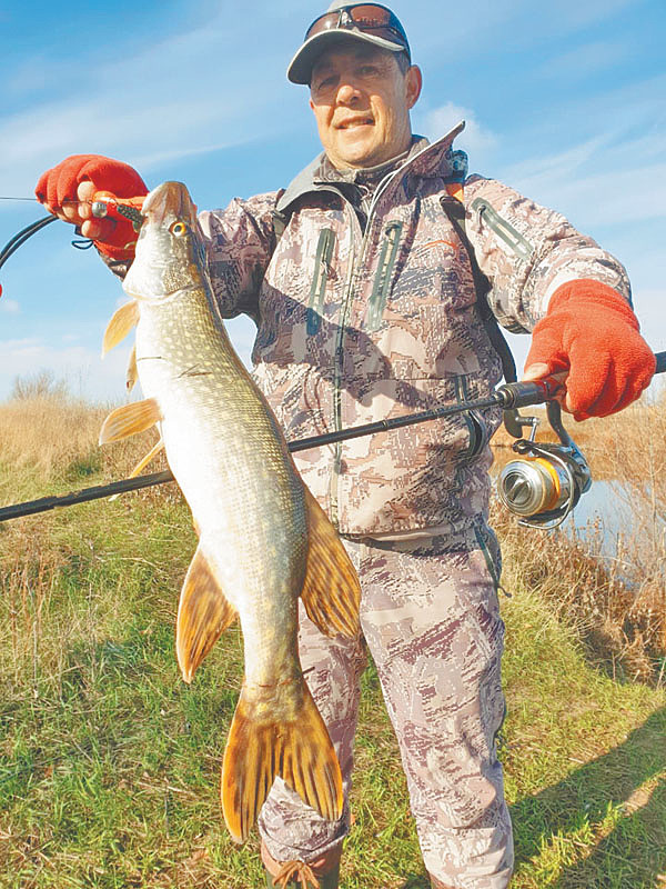 Изображение Фото: Алексей Коломиец.