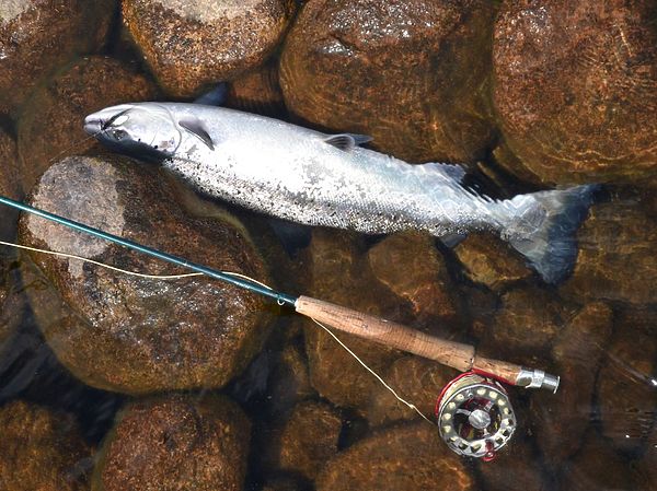 Изображение Фото: Геннадий Шеляг. 