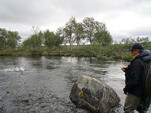 Изображение Поверхность воды вскипела от подсеченной кумжи – в этот момент от рыбака требуется максимальное хладнокровие. Фото: Геннадий Шеляг. 