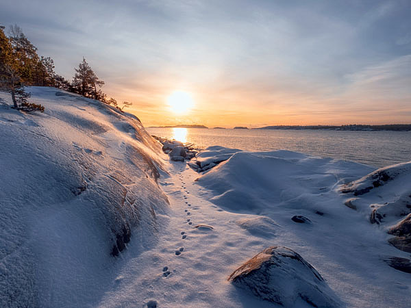 Изображение Фото: shutterstock