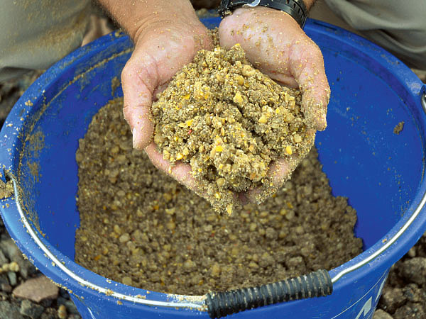 Изображение В состав прикормки должна входить насадка, на которую происходит ловля. Фото: Линника Николая.