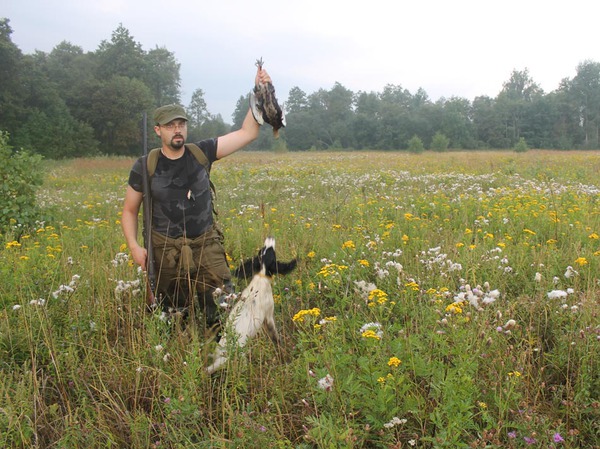 Изображение А из этого выводка взяли петушка. Фото: Сергея Фокина 
