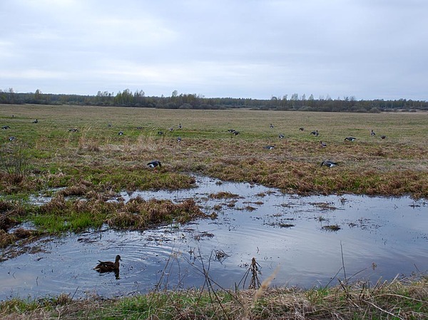 Изображение фото: Рудмана Виктора