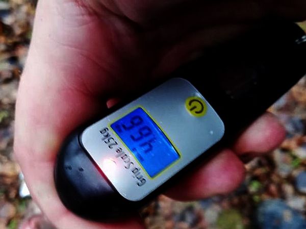 Изображение А уж если аргументы такие весомые, как тут дома усидишь. Фото: Евгений Кузнецов.