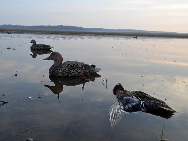 Изображение фото: Никонова Павла 