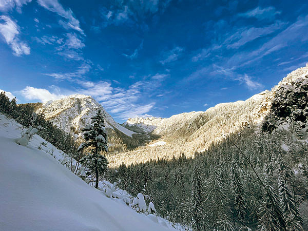 Изображение Фото автора.