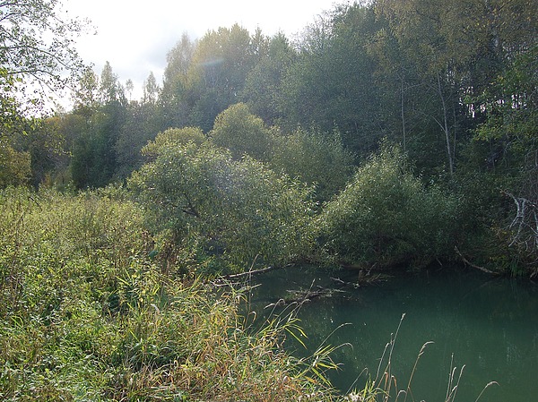 Изображение Фото: Яншевского Андрея.