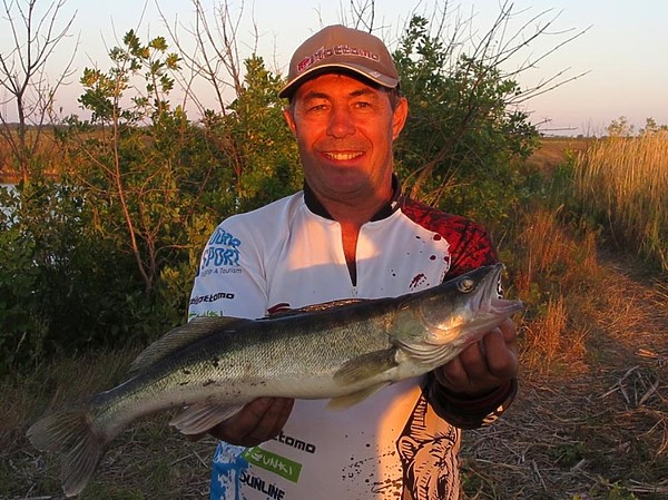 Изображение Вечерний судачок ждал меня в заветном месте. Фото: Алексей Коломиец. 
