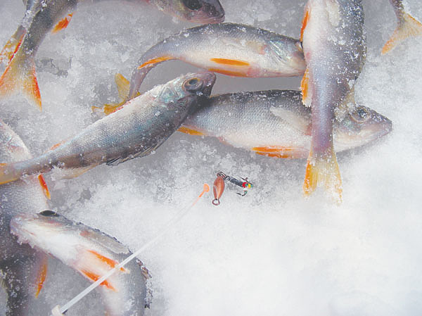 Изображение Фото: Анатолий Маилков. 