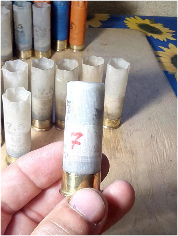 Изображение фото автора