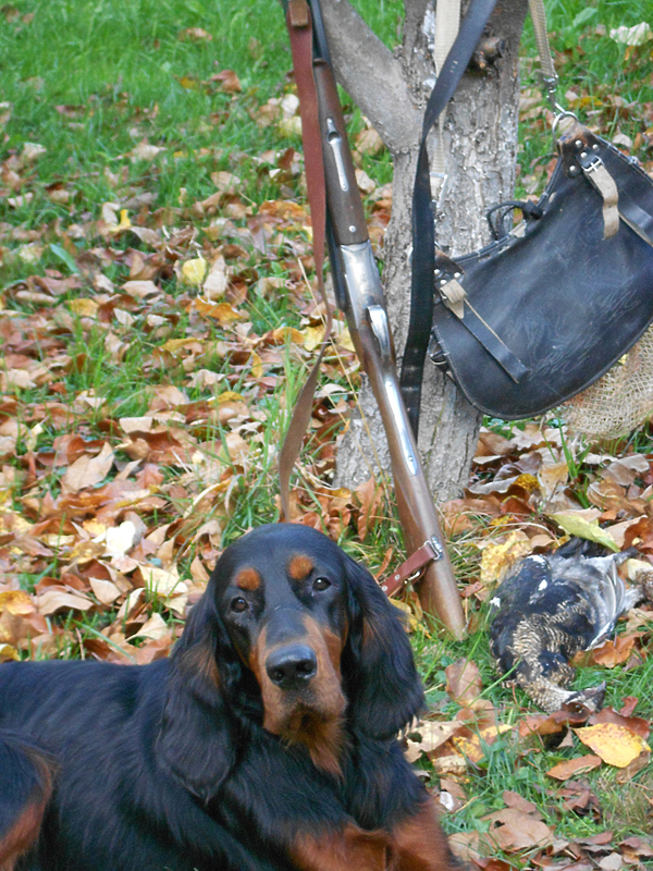 Изображение фото: Алексея Князева