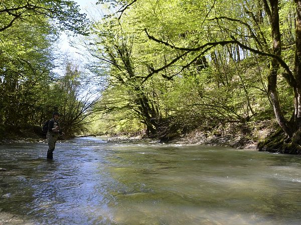 Изображение Ловить на мушку в горных реках сложно, но очень интересно. Фото: Геннадий Шеляг.