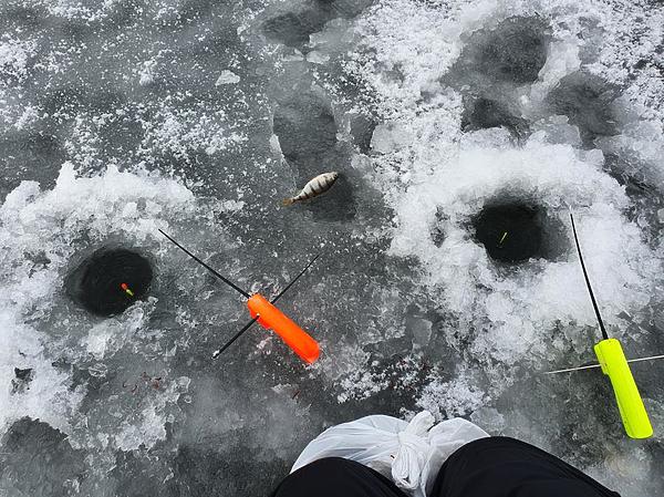 Изображение Карасевые удочки тоже лучше оснастить противоугонками. А вдруг клюнет карп? Фото: Геннадий Шеляг. 