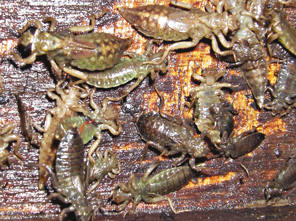 Изображение Фото Анатолия Маилкова