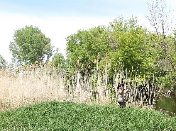 Изображение Фото: Коломийца Алексея. 