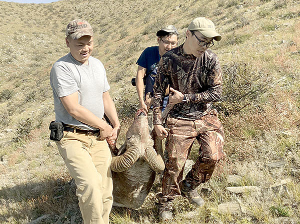 Изображение Охота в Монголии — предмет строгого государственного контроля и регулирования. Иностранному охотнику потребуется разрешение на охоту, выданное Министерством охраны окружающей среды Монголии. Ежегодно в стране выдается не более 40 лицензий на отстрел алтайского аргали. Запрос на получение лицензии на охоту иногда нужно подавать за два-три года до предполагаемой охоты, чтобы заблаговременно забронировать охотничью лицензию. Фото автора. 