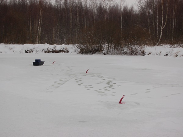 Изображение Фото: Яншевского Андрея. 